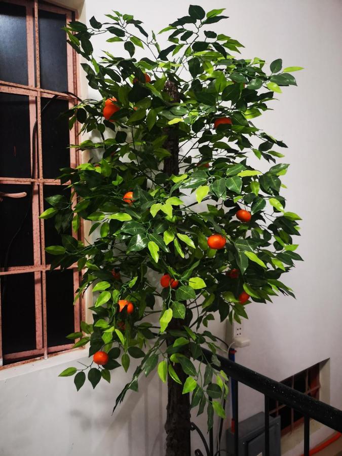 Apartament Estrelle Orange House - Backpackers Hub Puerto Princesa Zewnętrze zdjęcie